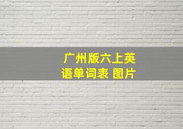 广州版六上英语单词表 图片